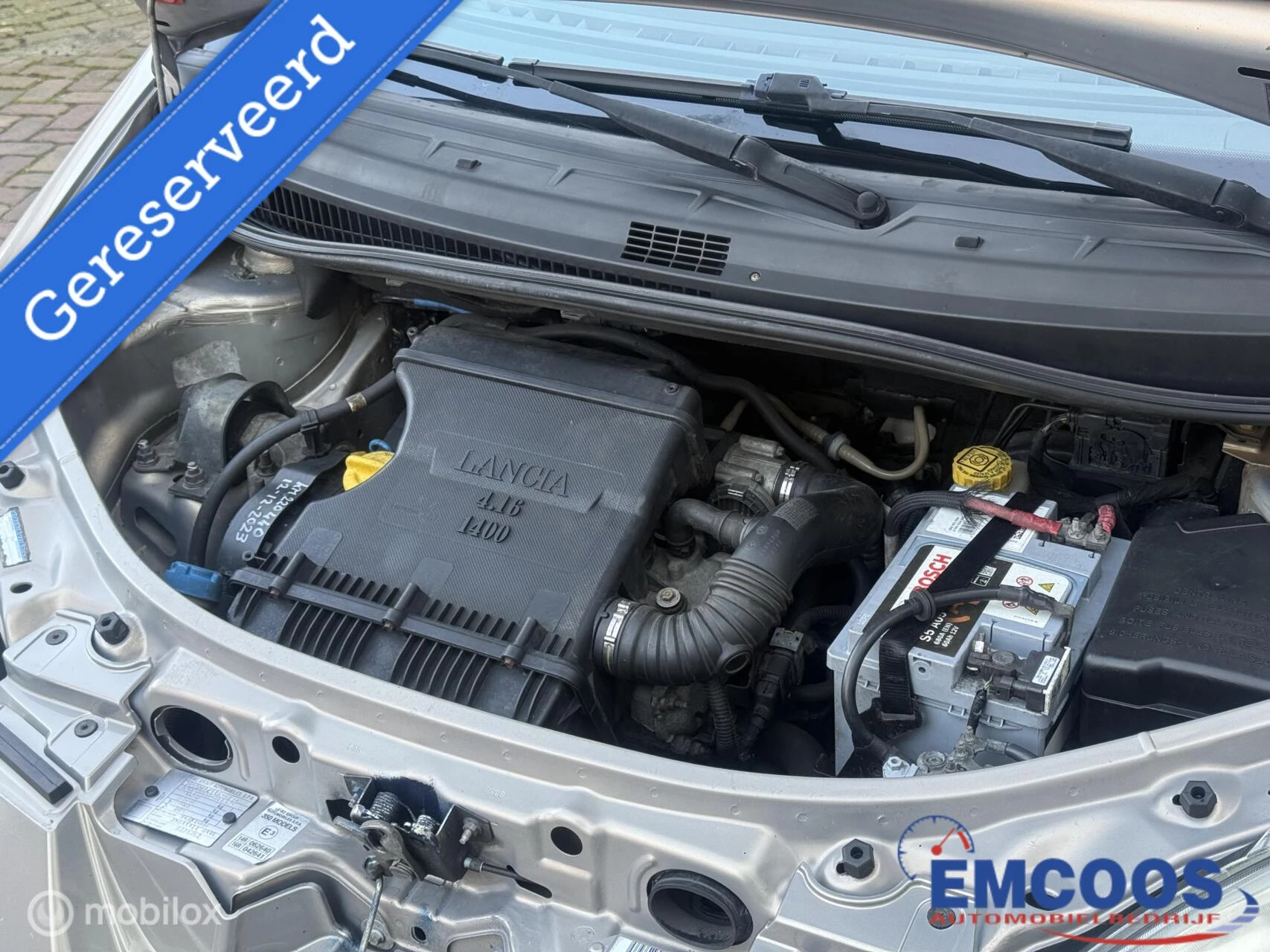 Hoofdafbeelding Lancia Musa