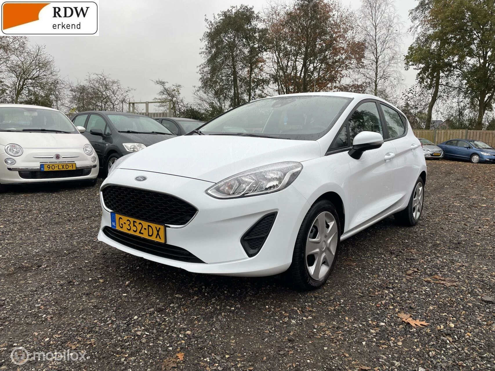 Hoofdafbeelding Ford Fiesta