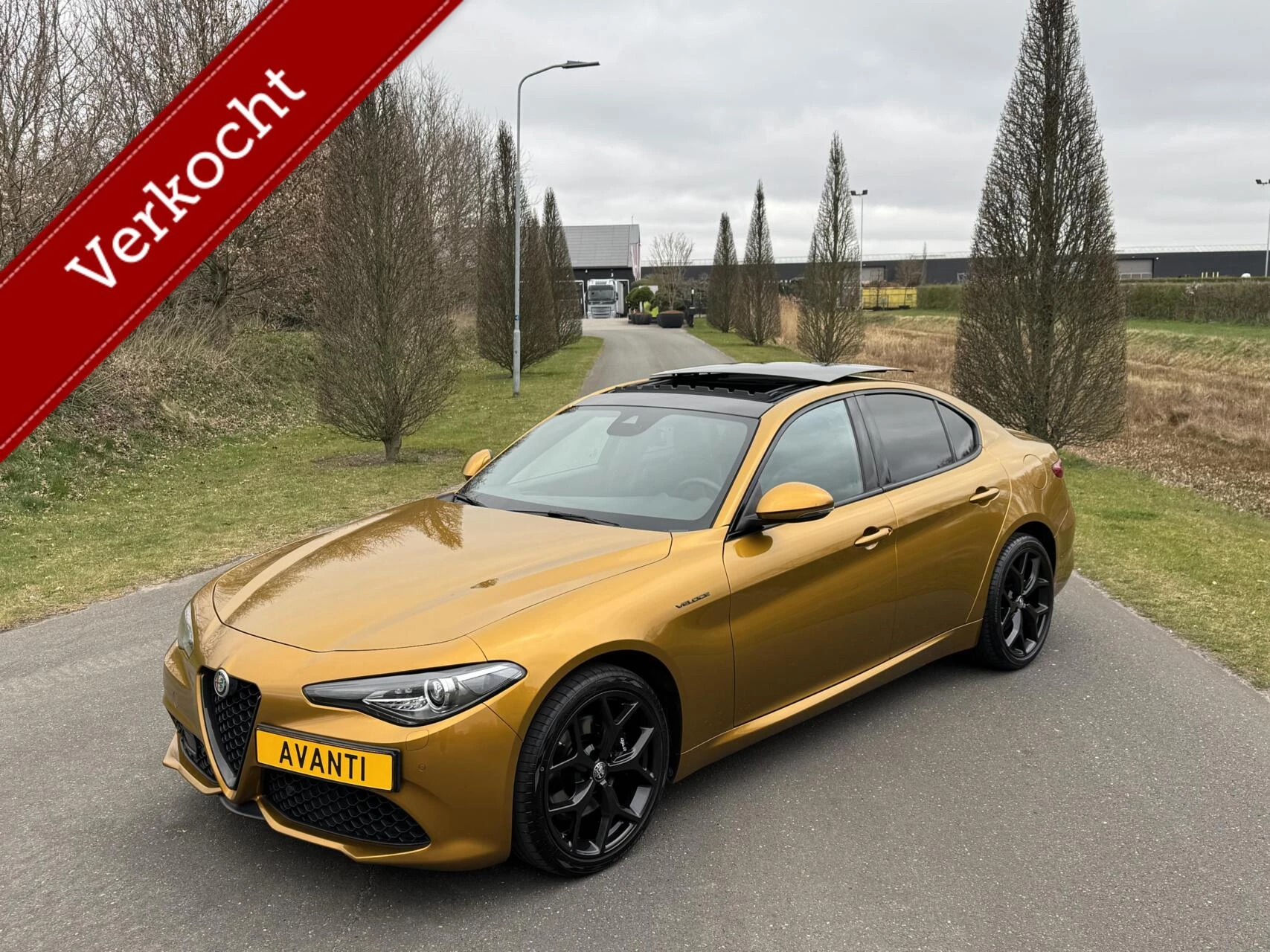 Hoofdafbeelding Alfa Romeo Giulia