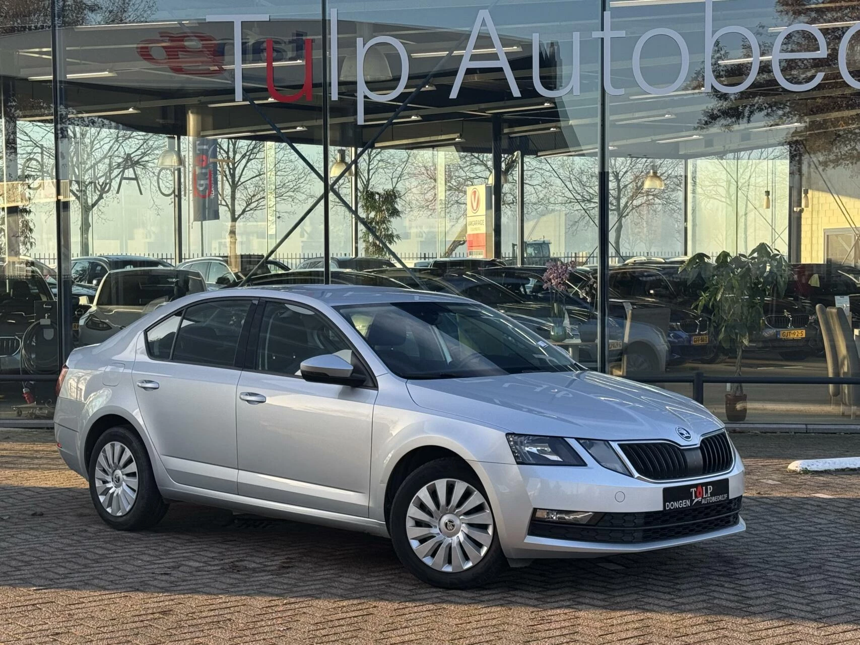 Hoofdafbeelding Škoda Octavia