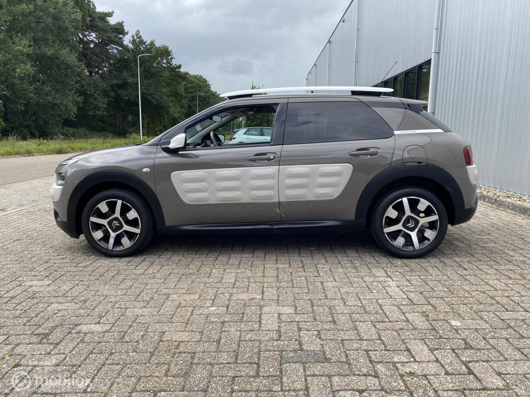 Hoofdafbeelding Citroën C4 Cactus