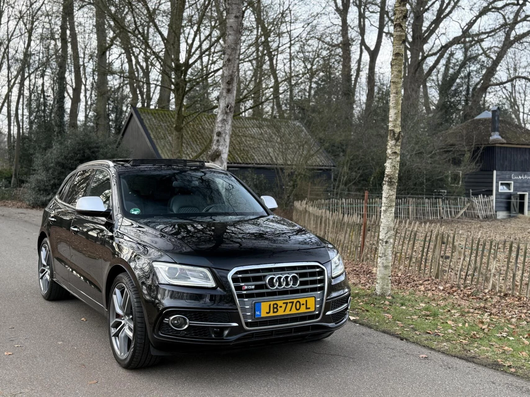 Hoofdafbeelding Audi SQ5