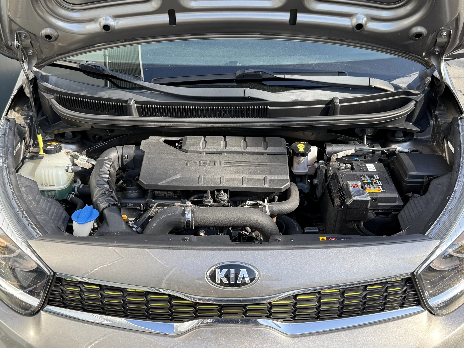 Hoofdafbeelding Kia Picanto