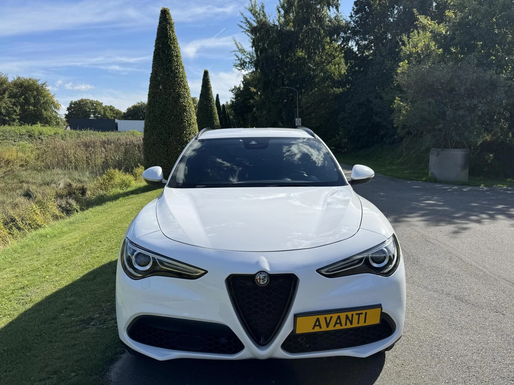 Hoofdafbeelding Alfa Romeo Stelvio