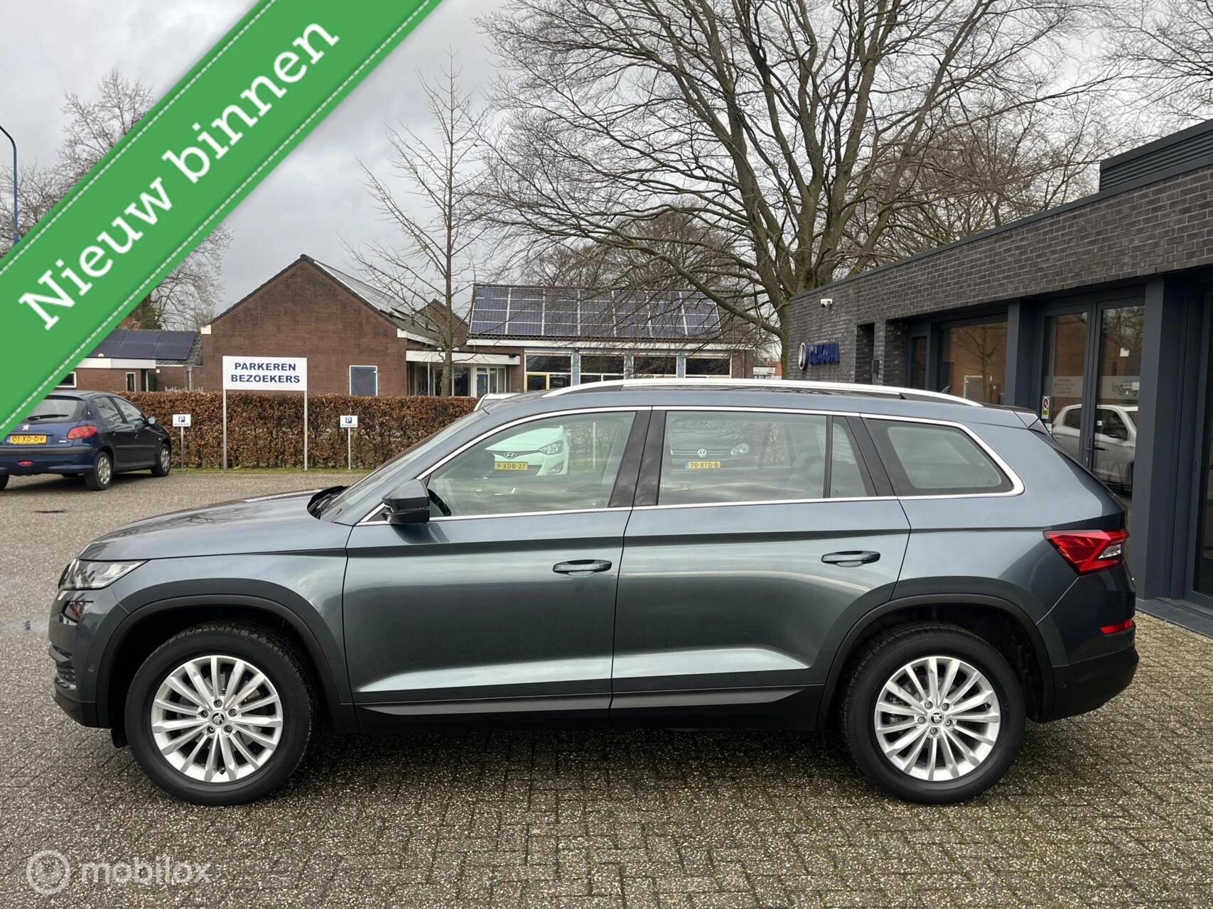 Hoofdafbeelding Škoda Kodiaq