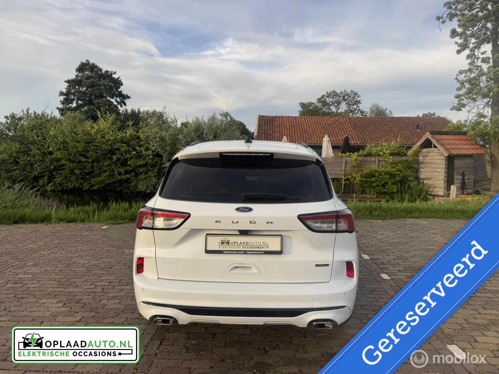 Hoofdafbeelding Ford Kuga