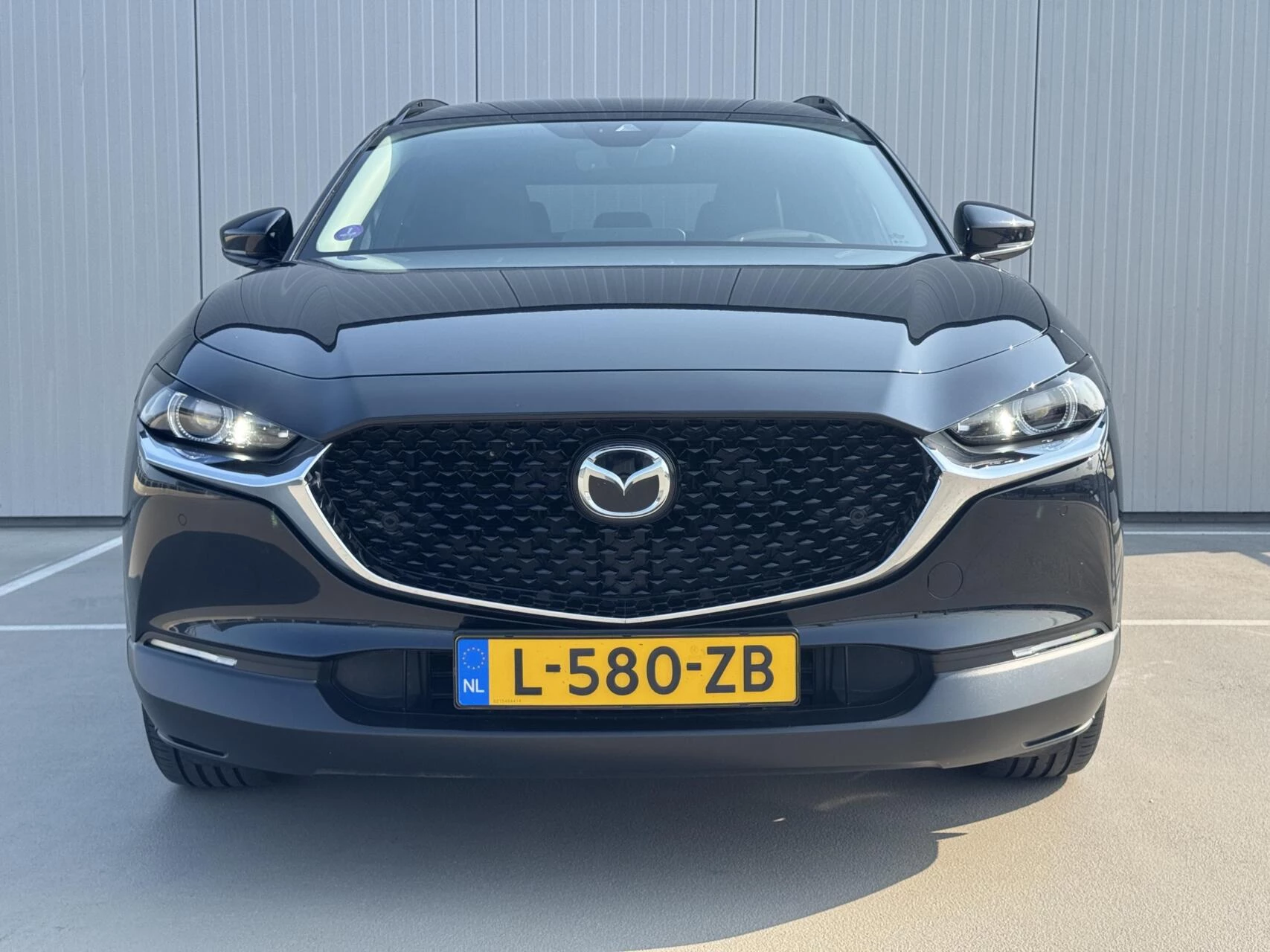 Hoofdafbeelding Mazda CX-30