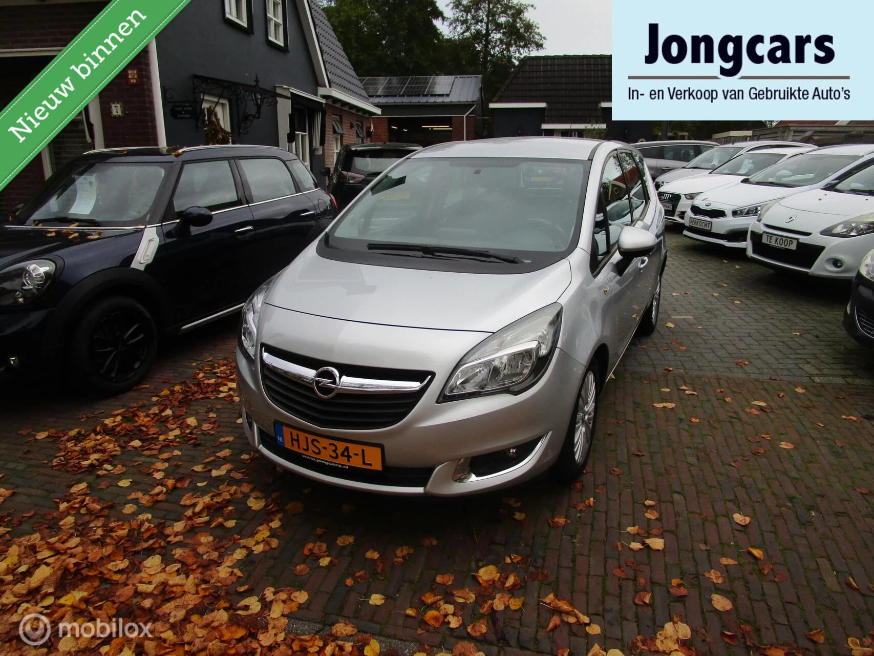 Hoofdafbeelding Opel Meriva