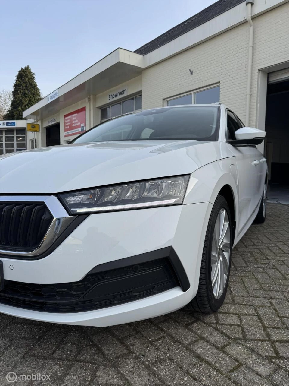 Hoofdafbeelding Škoda Octavia