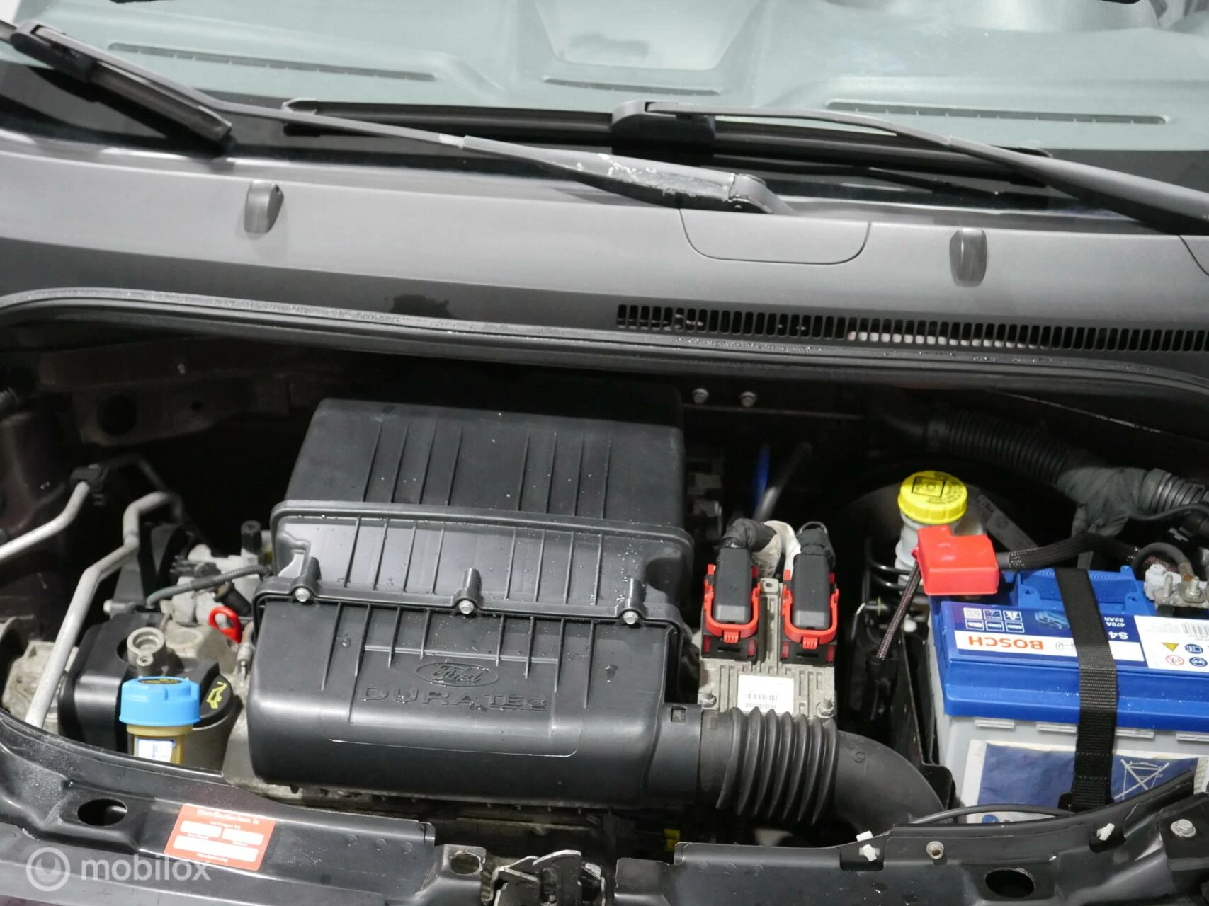 Hoofdafbeelding Ford Ka