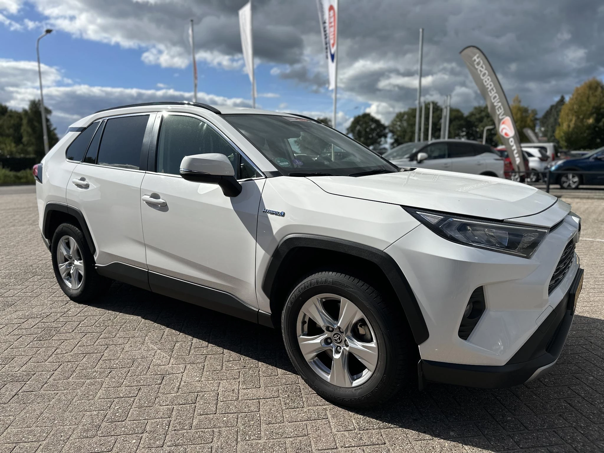 Hoofdafbeelding Toyota RAV4
