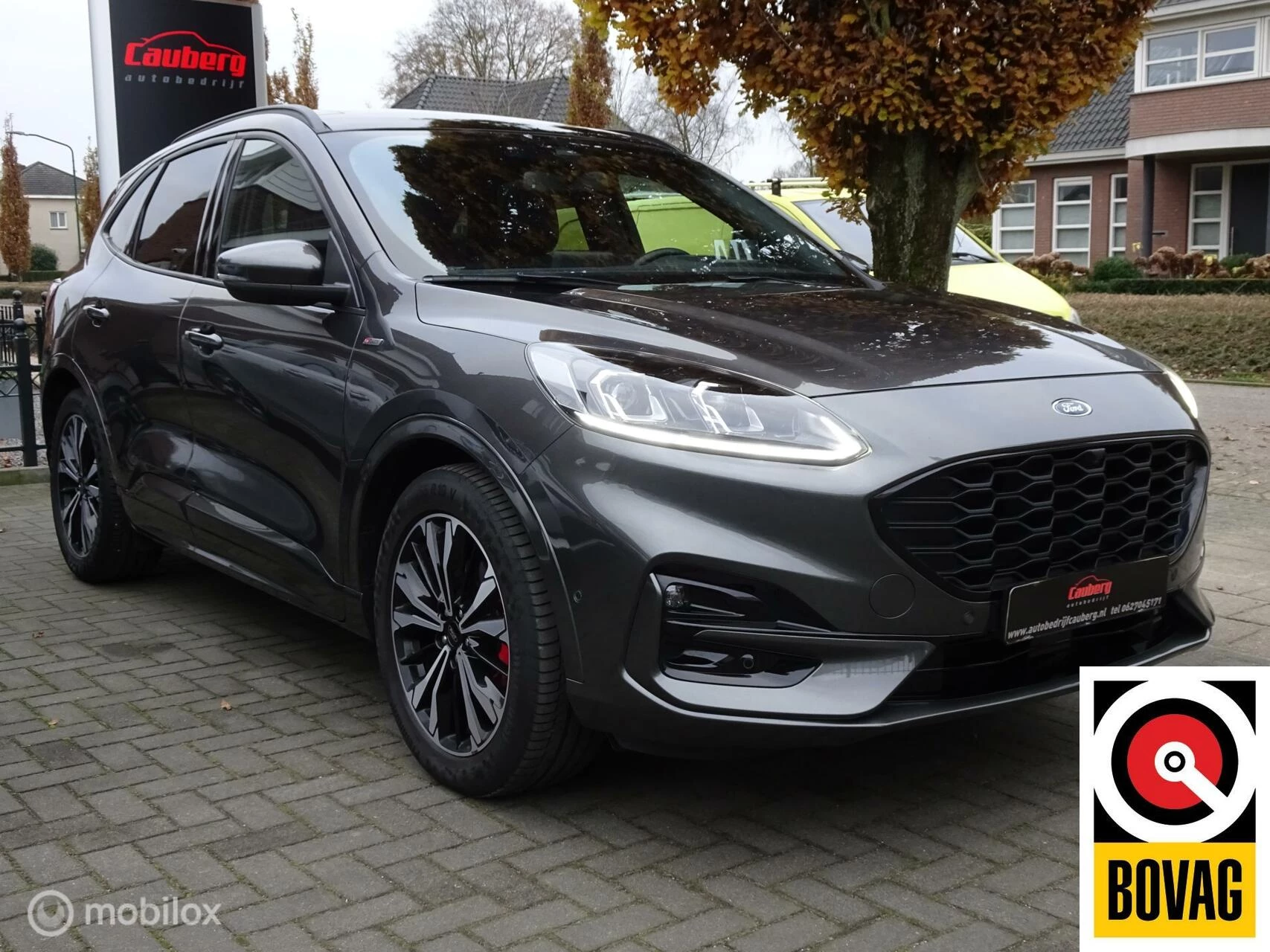 Hoofdafbeelding Ford Kuga