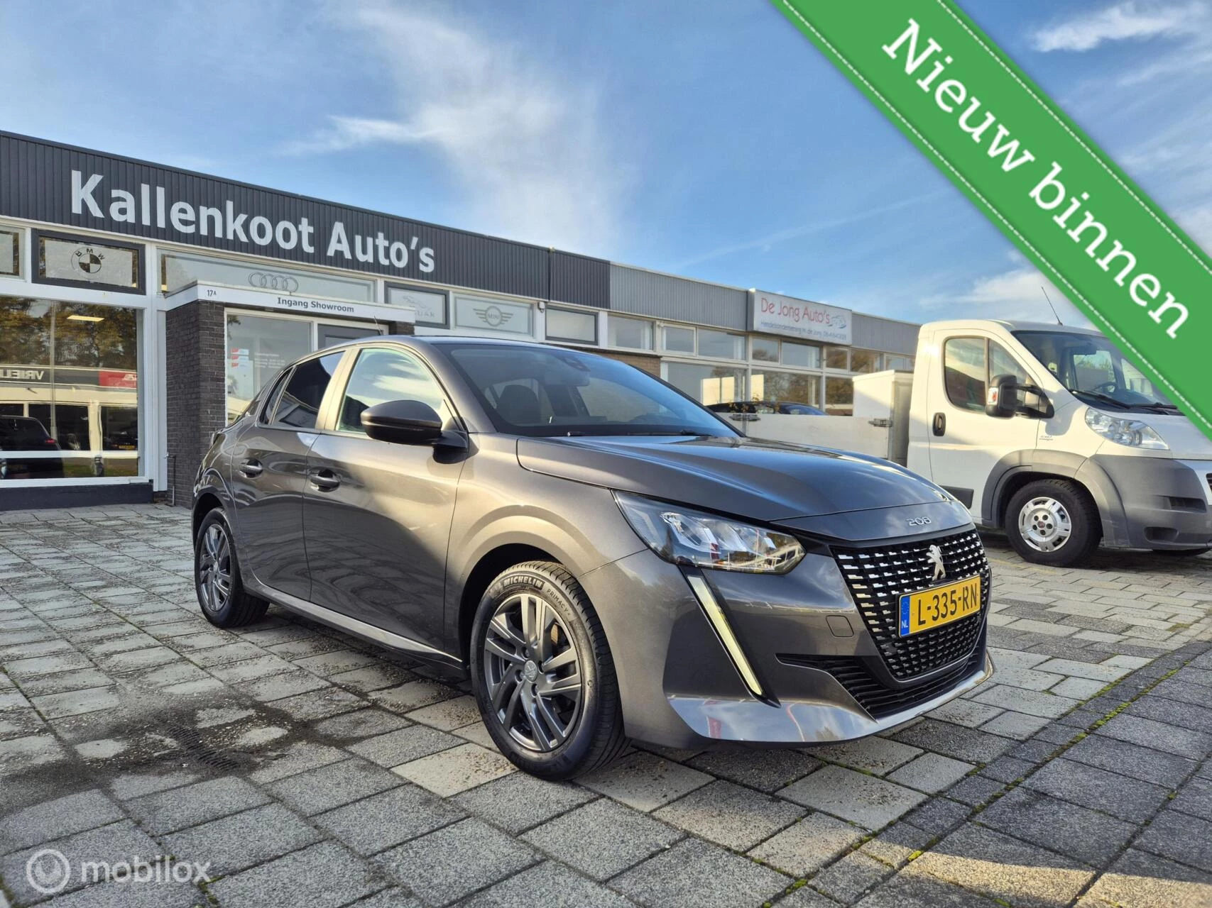 Hoofdafbeelding Peugeot 208