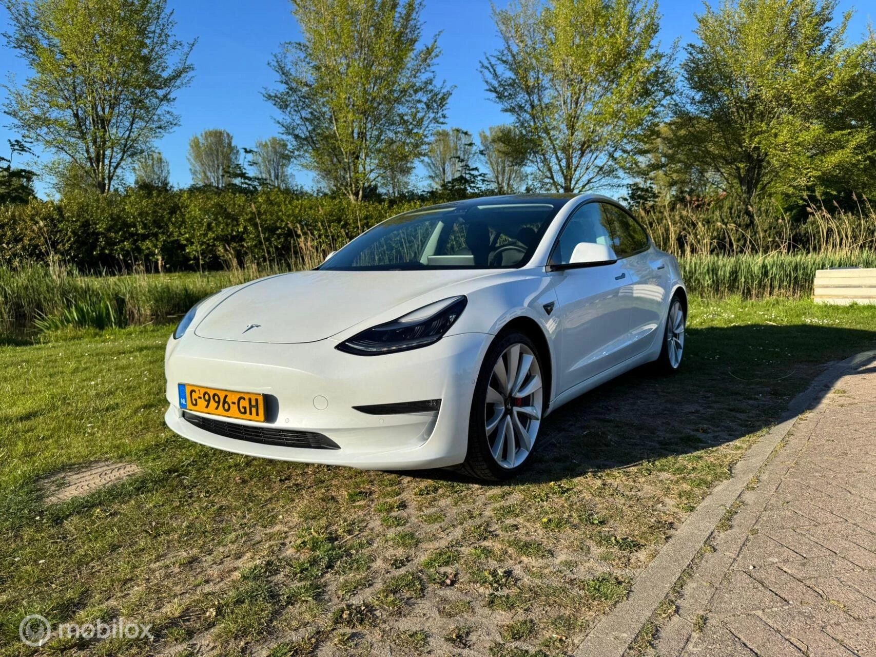 Hoofdafbeelding Tesla Model 3