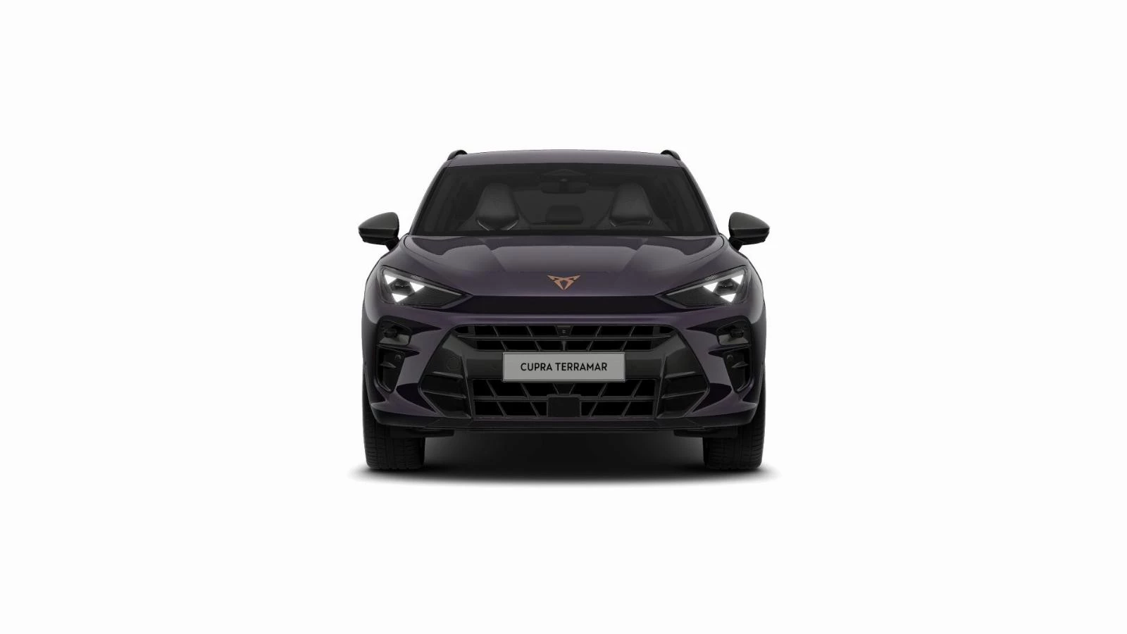 Hoofdafbeelding CUPRA Terramar