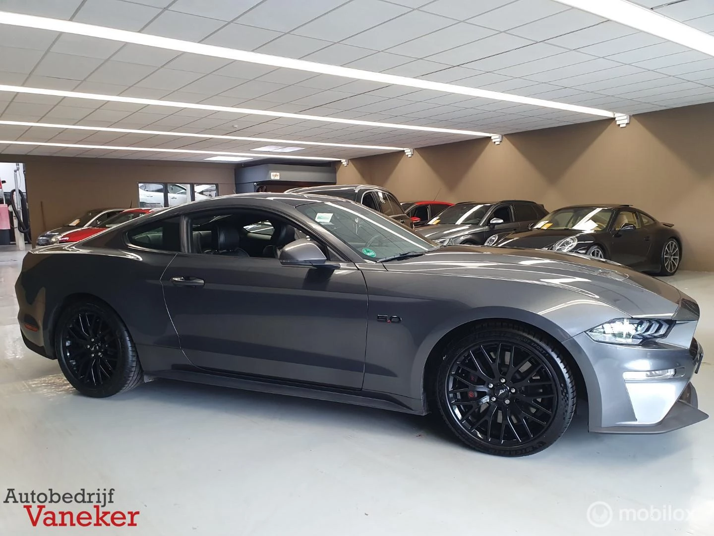 Hoofdafbeelding Ford Mustang