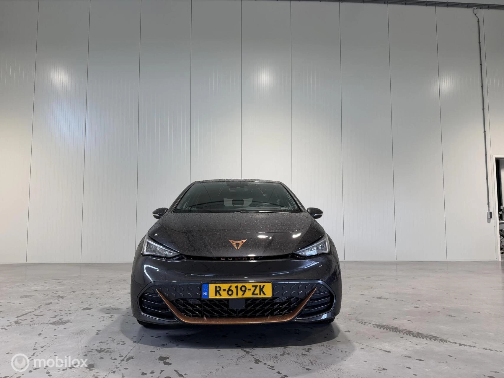 Hoofdafbeelding CUPRA Born