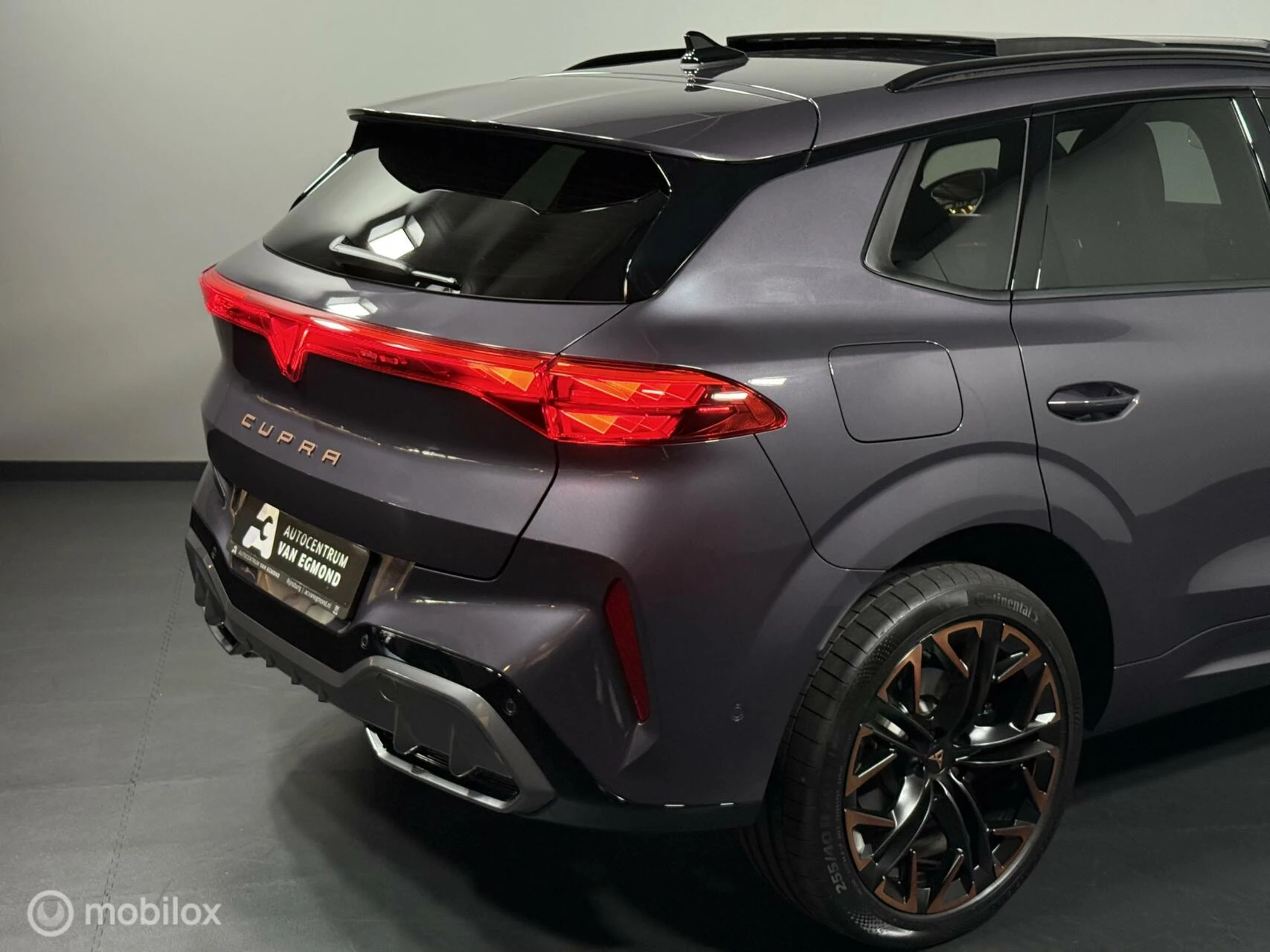 Hoofdafbeelding CUPRA Terramar
