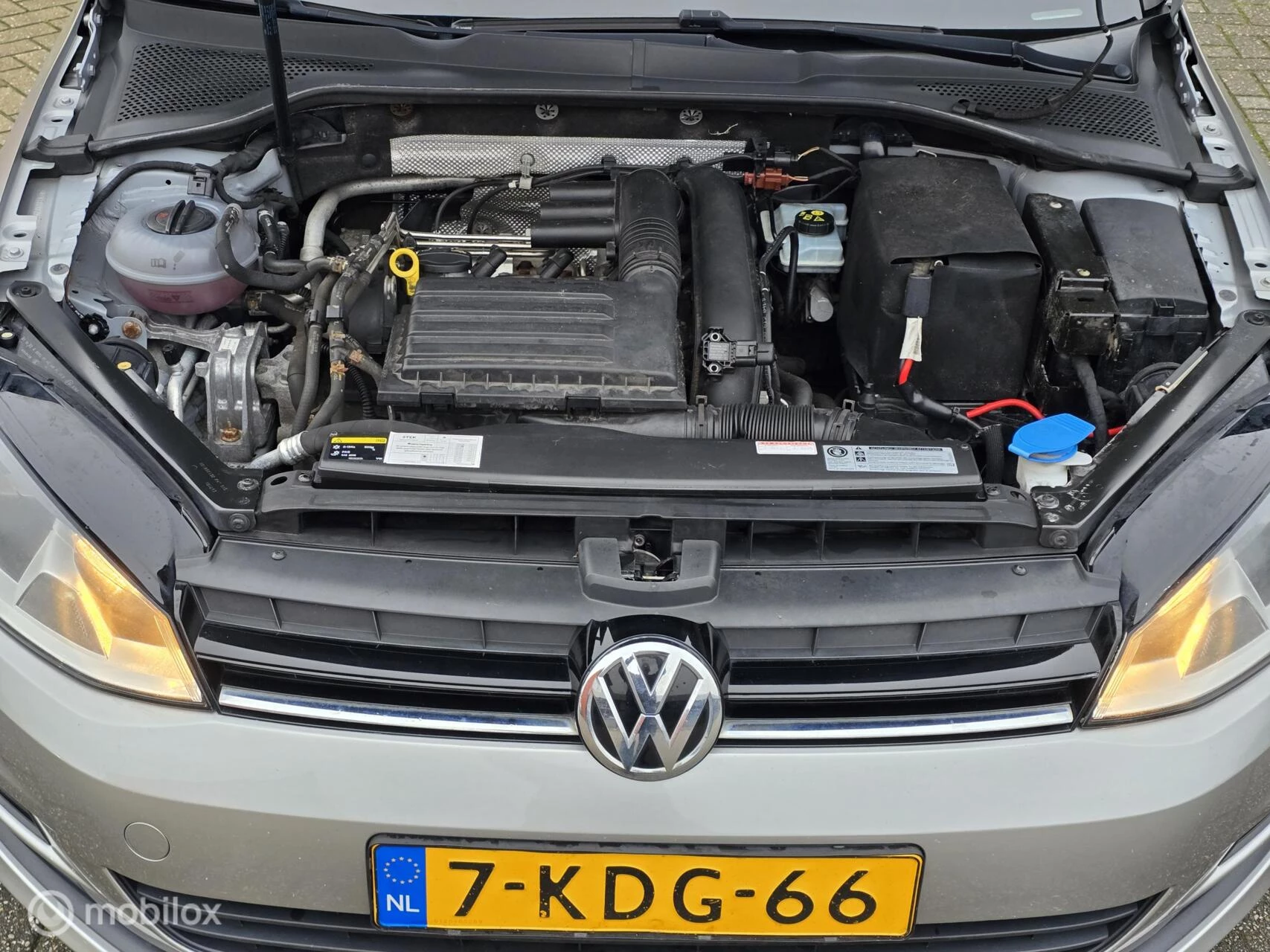 Hoofdafbeelding Volkswagen Golf