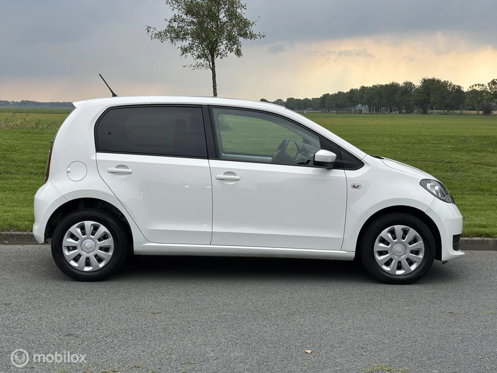 Hoofdafbeelding Škoda Citigo