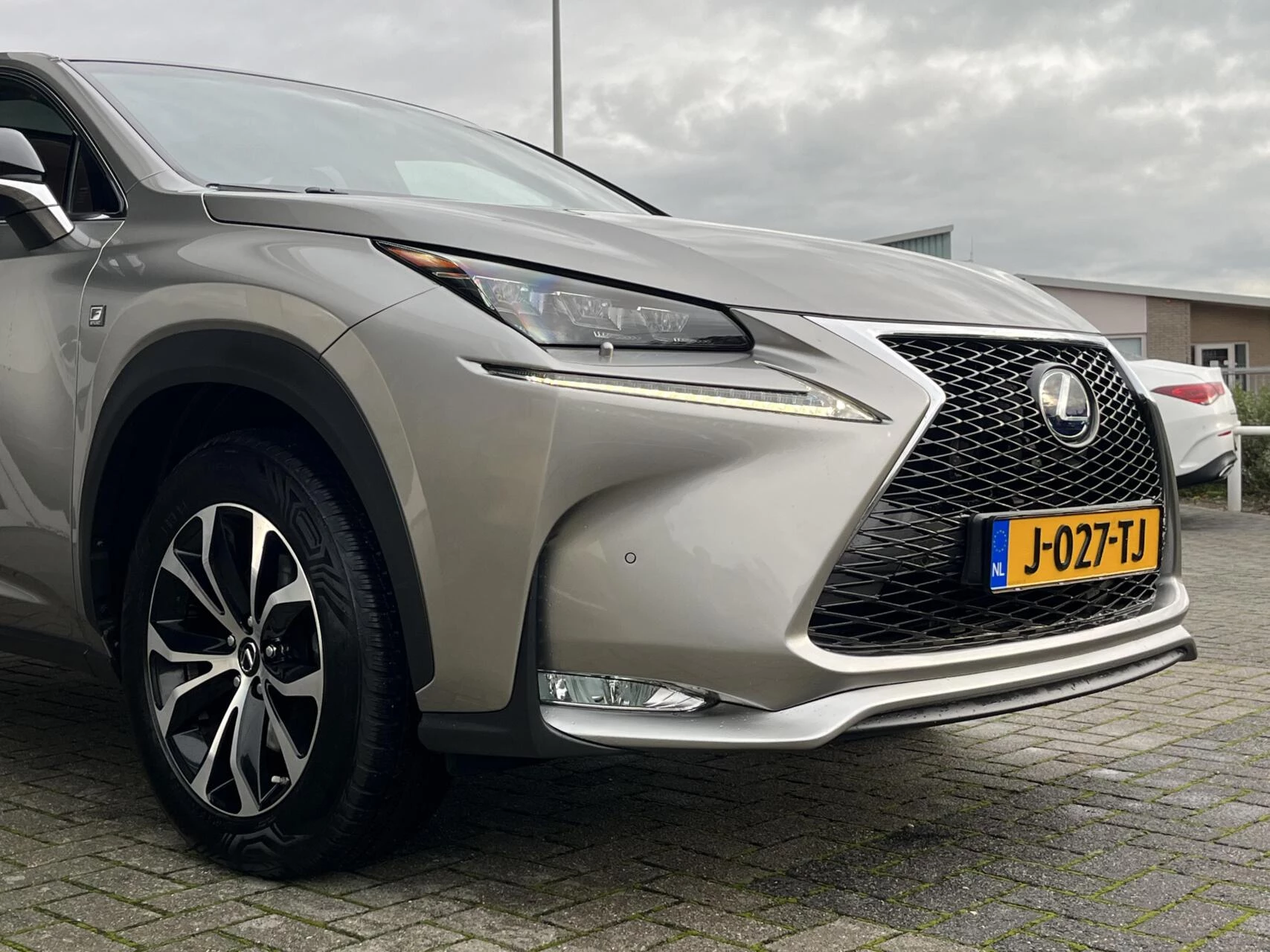 Hoofdafbeelding Lexus NX