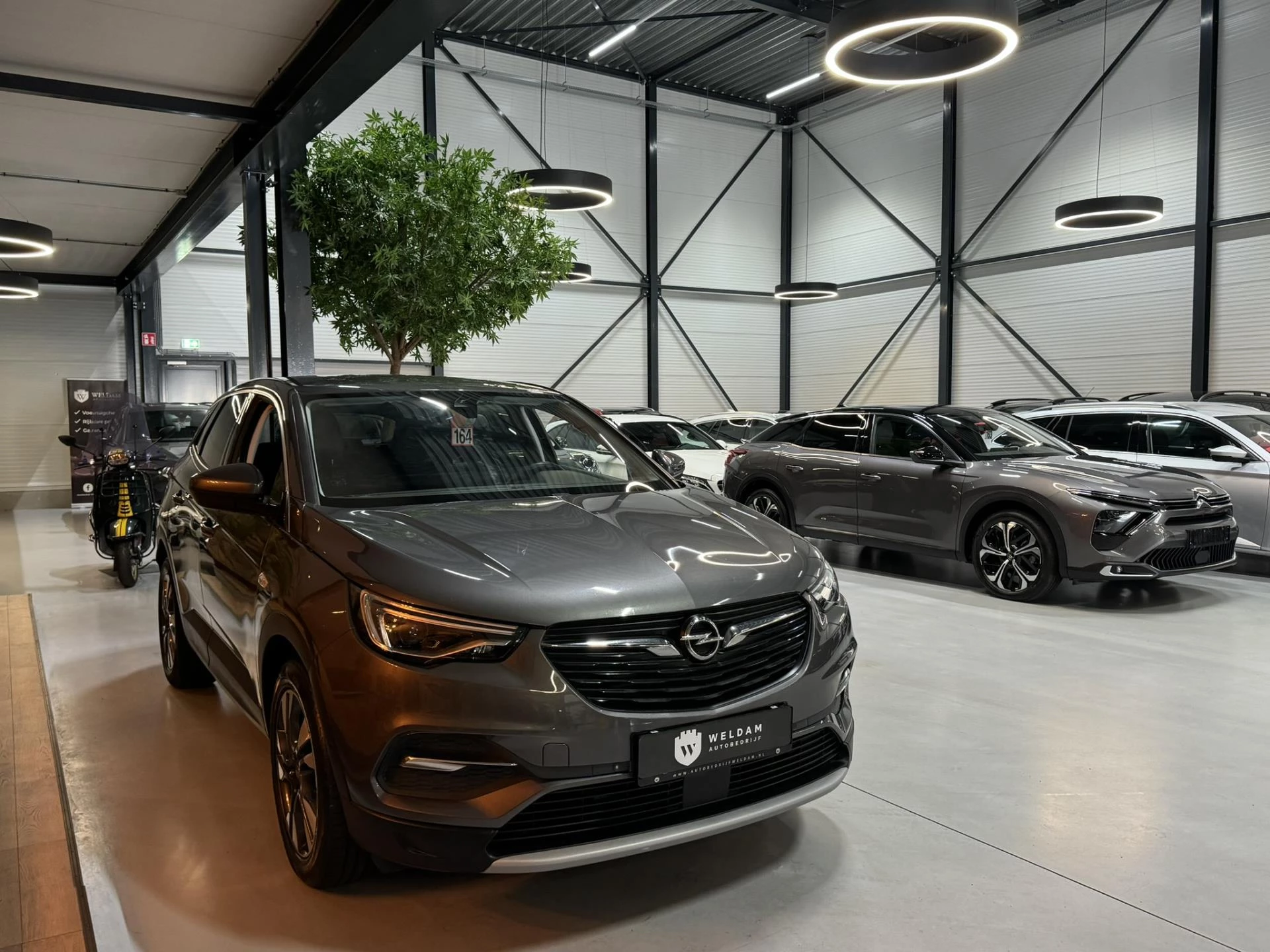 Hoofdafbeelding Opel Grandland X
