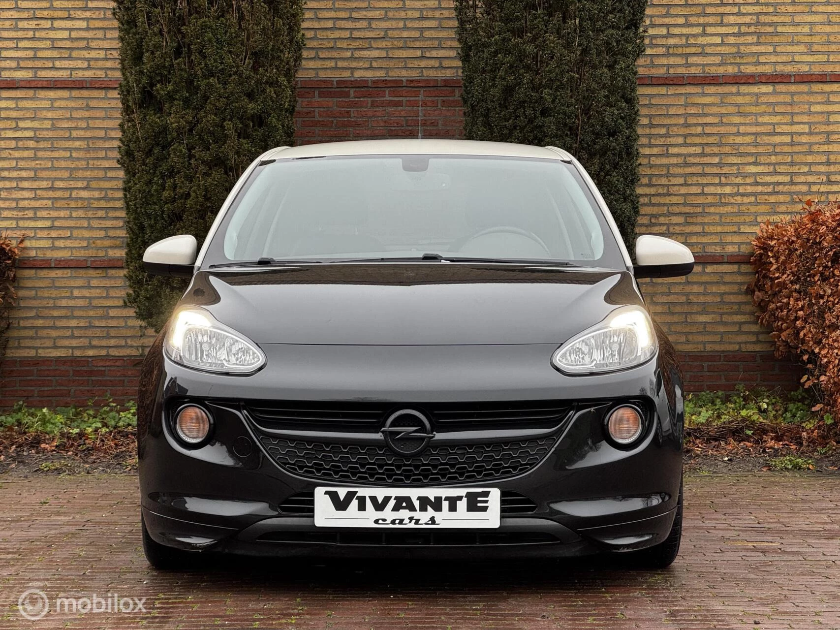 Hoofdafbeelding Opel ADAM
