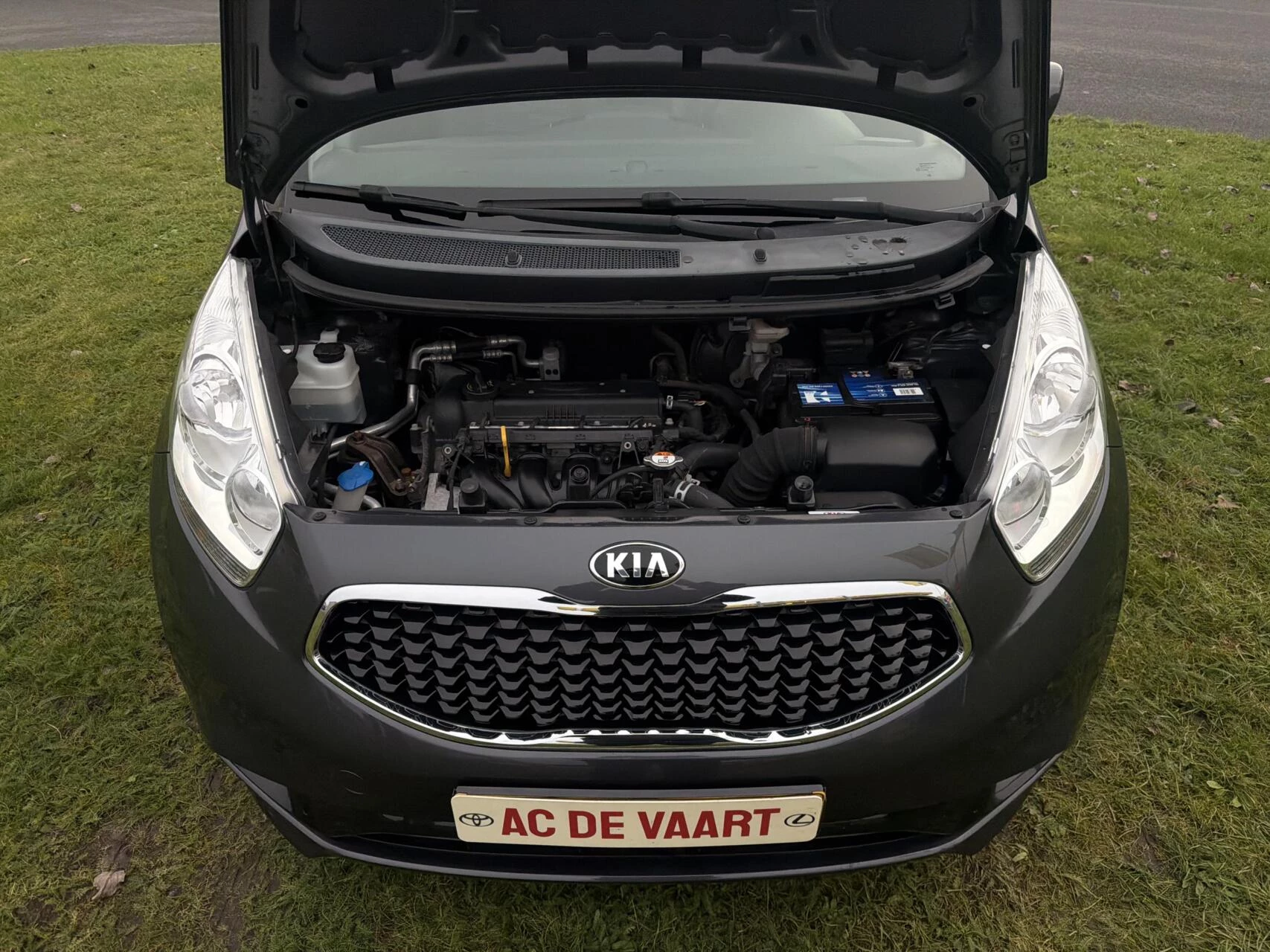 Hoofdafbeelding Kia Venga