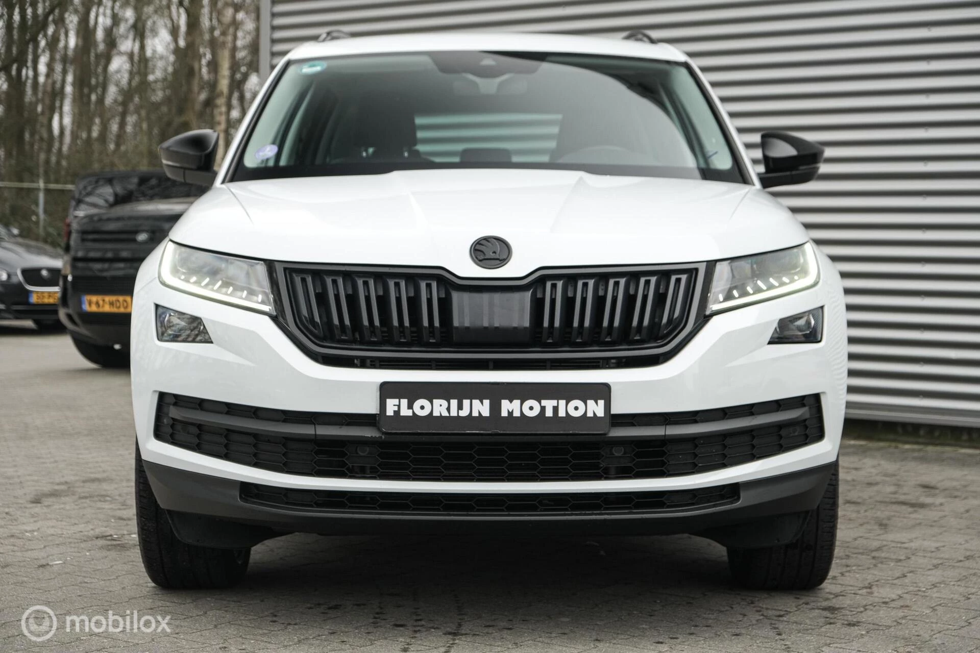 Hoofdafbeelding Škoda Kodiaq