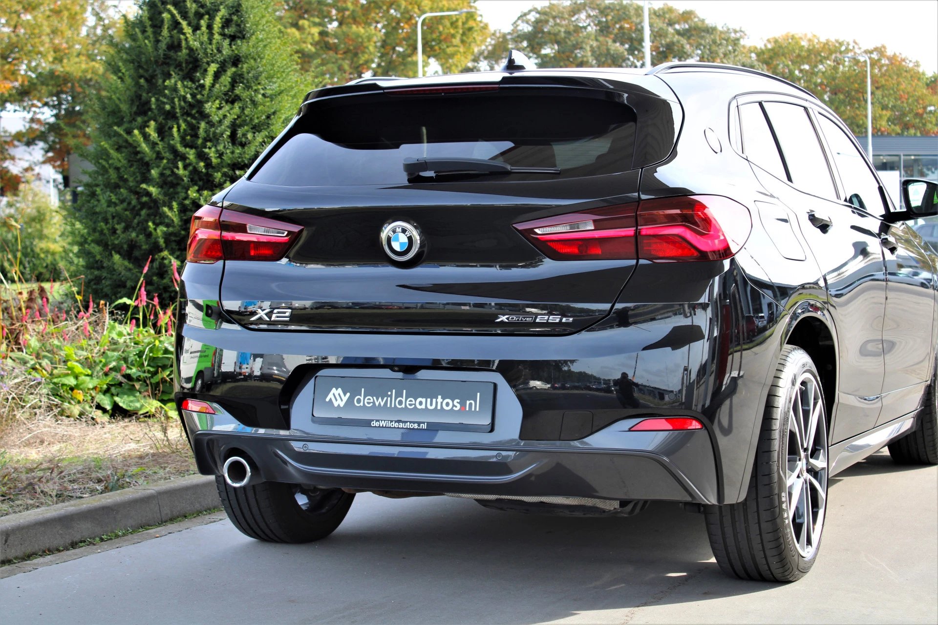 Hoofdafbeelding BMW X2