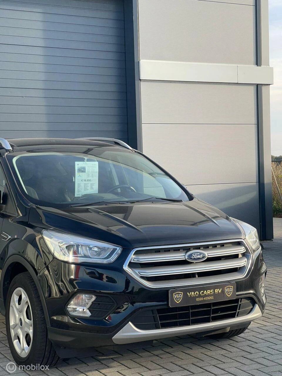 Hoofdafbeelding Ford Kuga