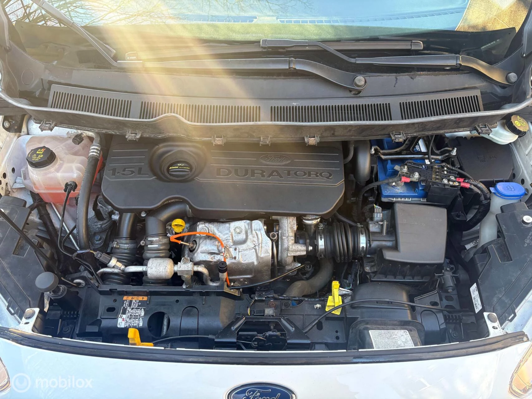 Hoofdafbeelding Ford Transit Courier