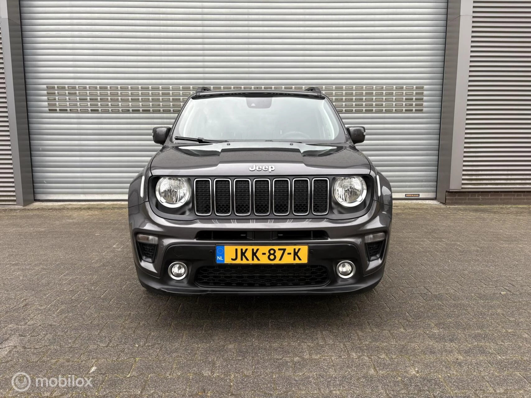 Hoofdafbeelding Jeep Renegade