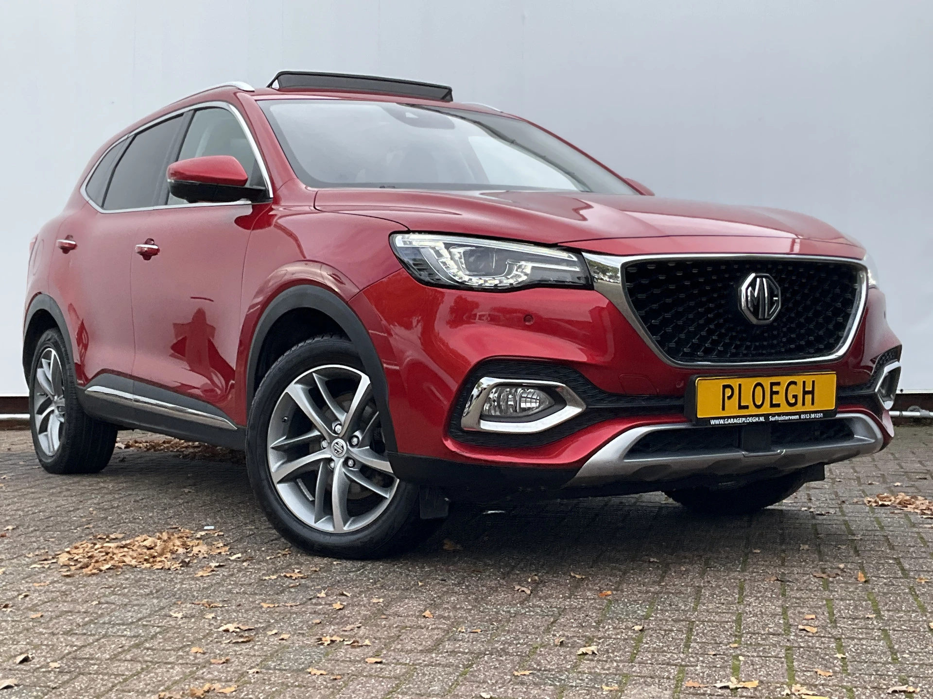 Hoofdafbeelding MG EHS