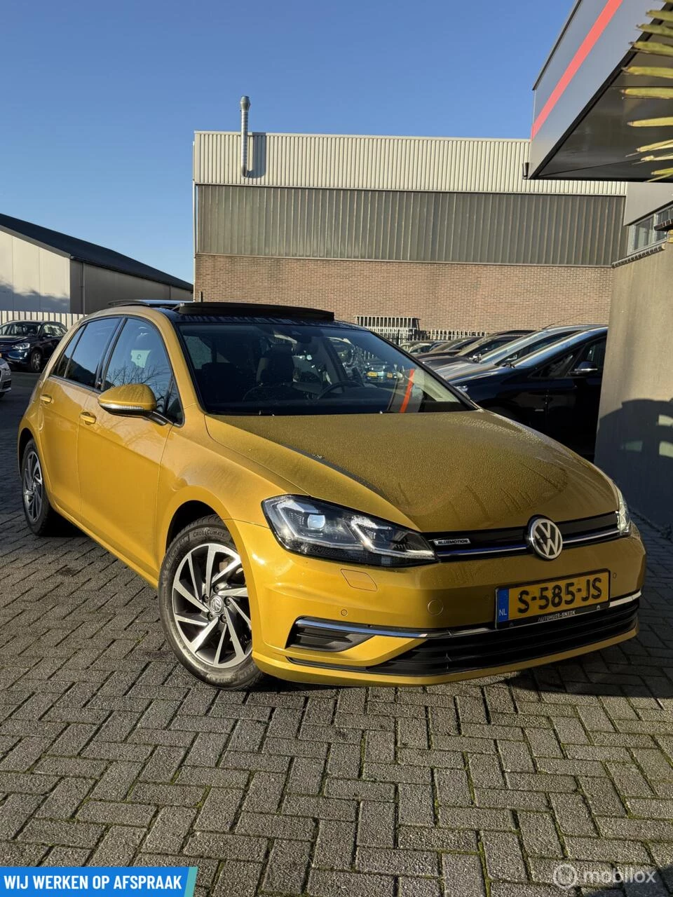 Hoofdafbeelding Volkswagen Golf