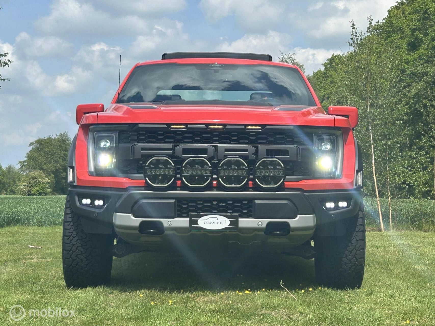 Hoofdafbeelding Ford F-150