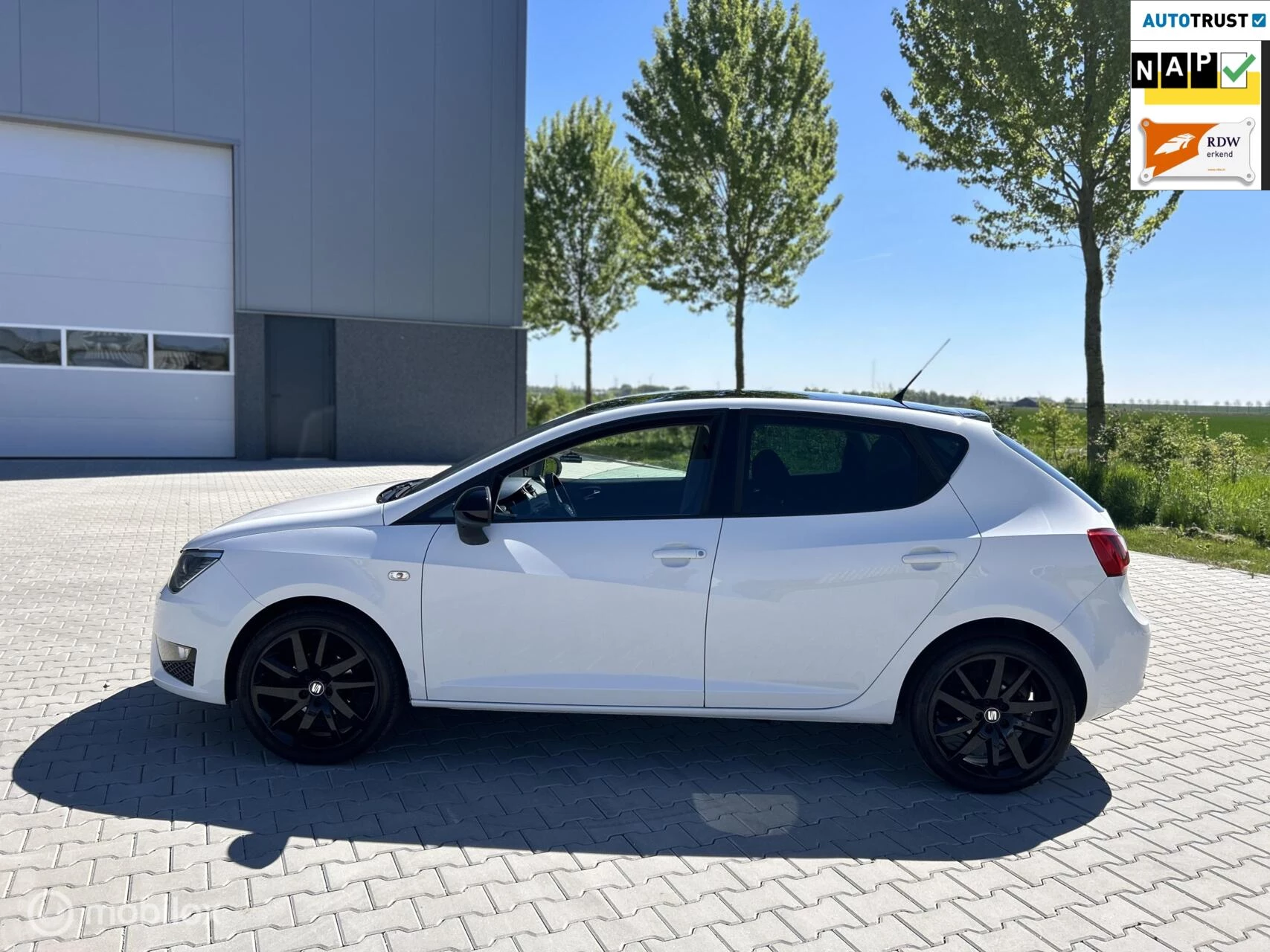 Hoofdafbeelding SEAT Ibiza