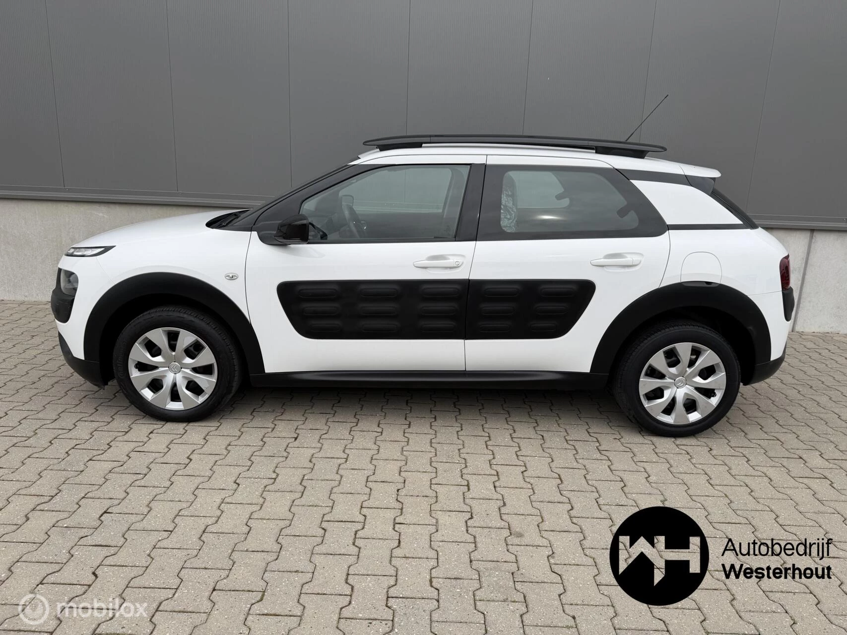 Hoofdafbeelding Citroën C4 Cactus