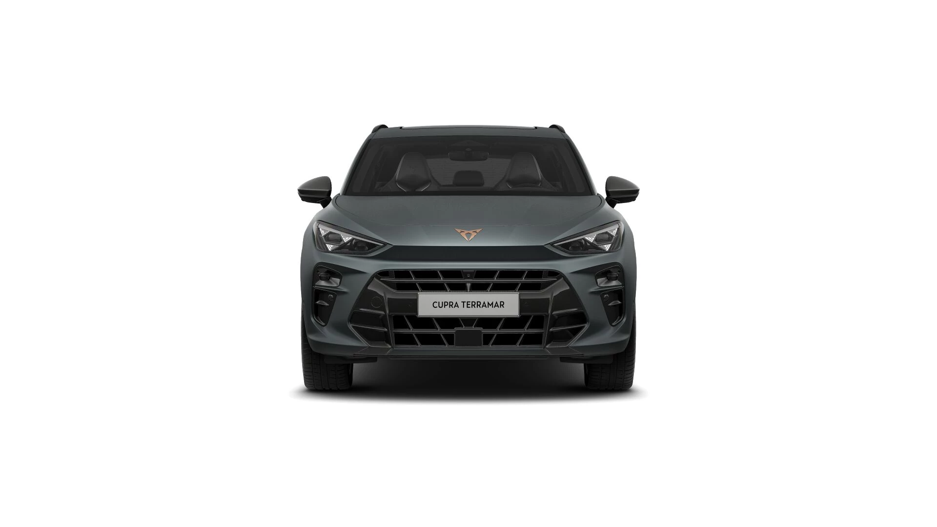 Hoofdafbeelding CUPRA Terramar