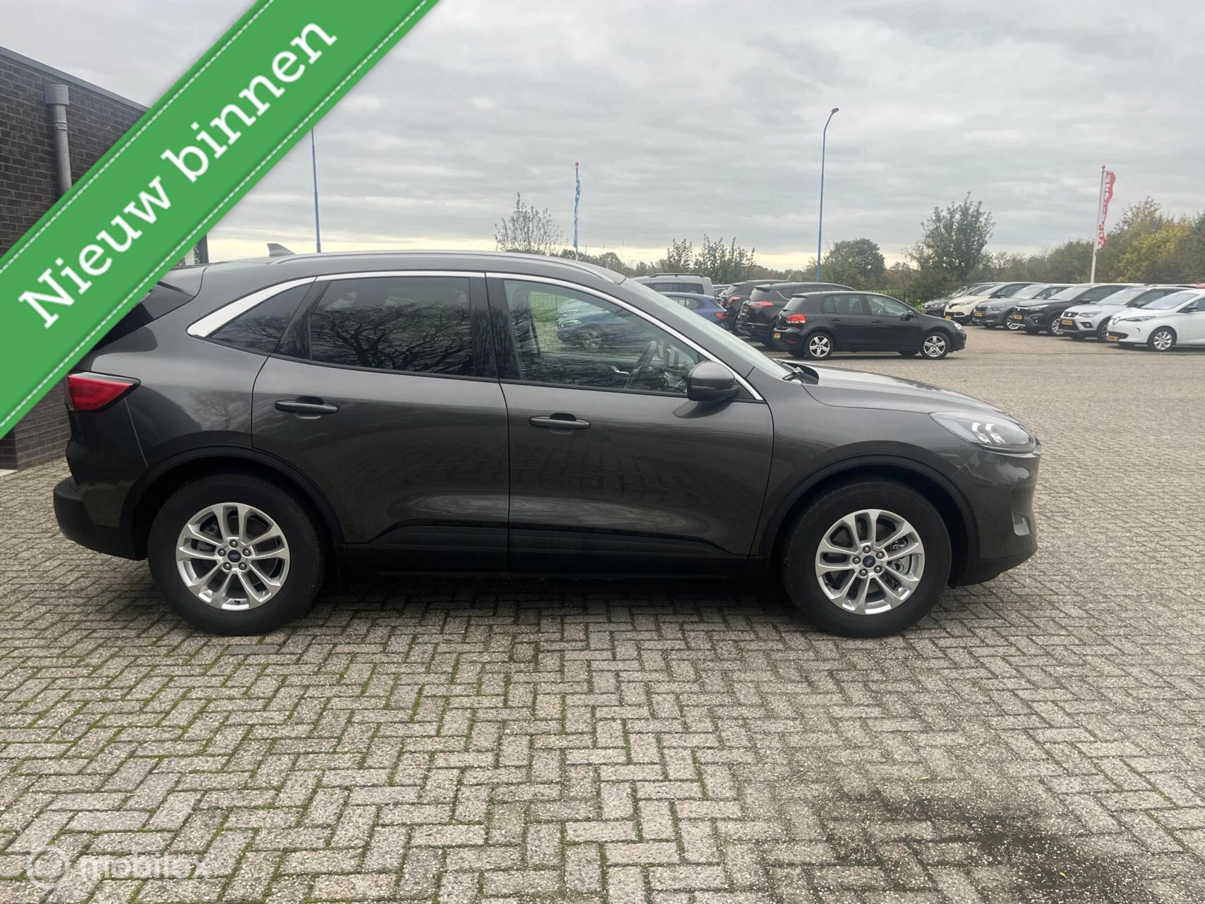 Hoofdafbeelding Ford Kuga