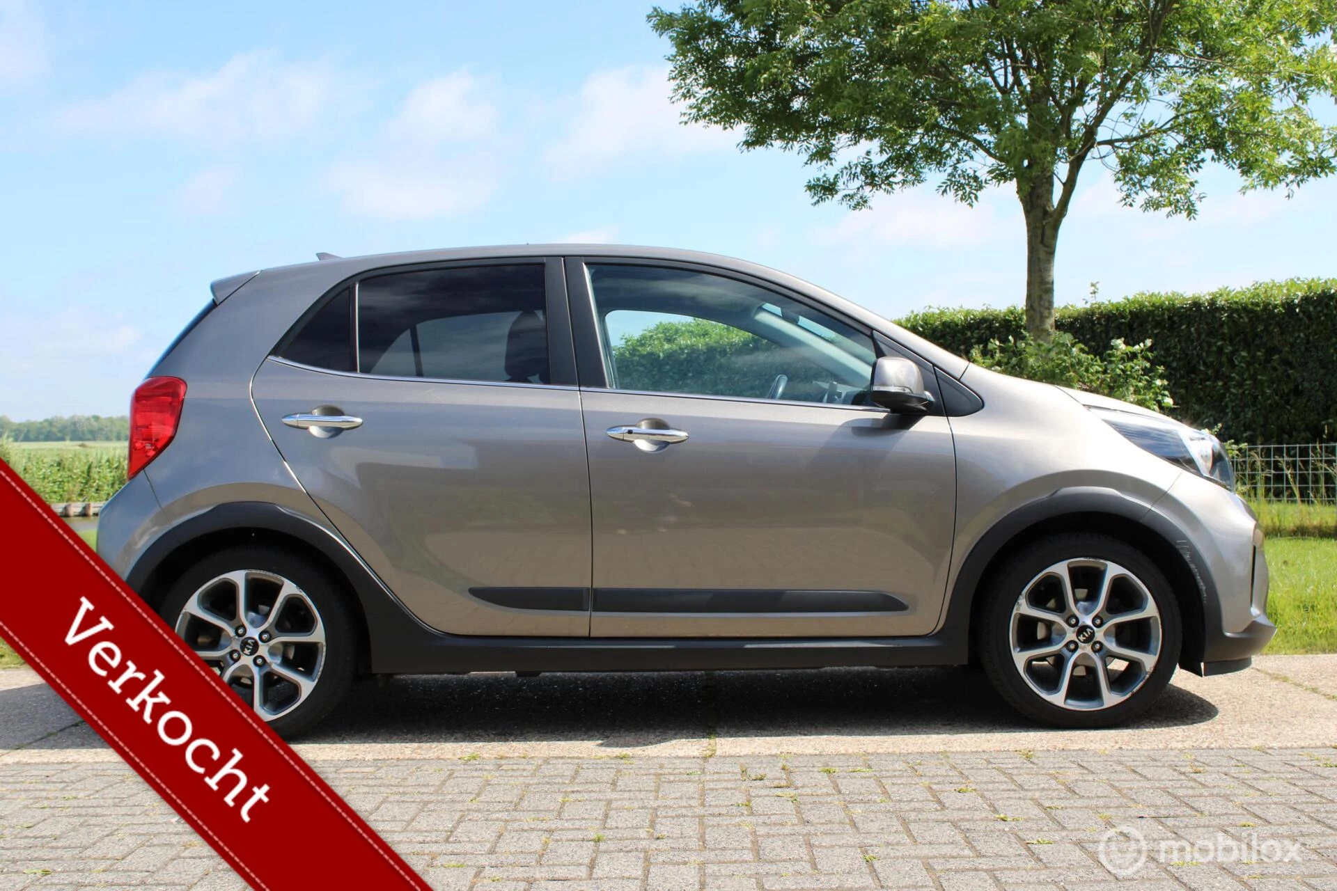Hoofdafbeelding Kia Picanto