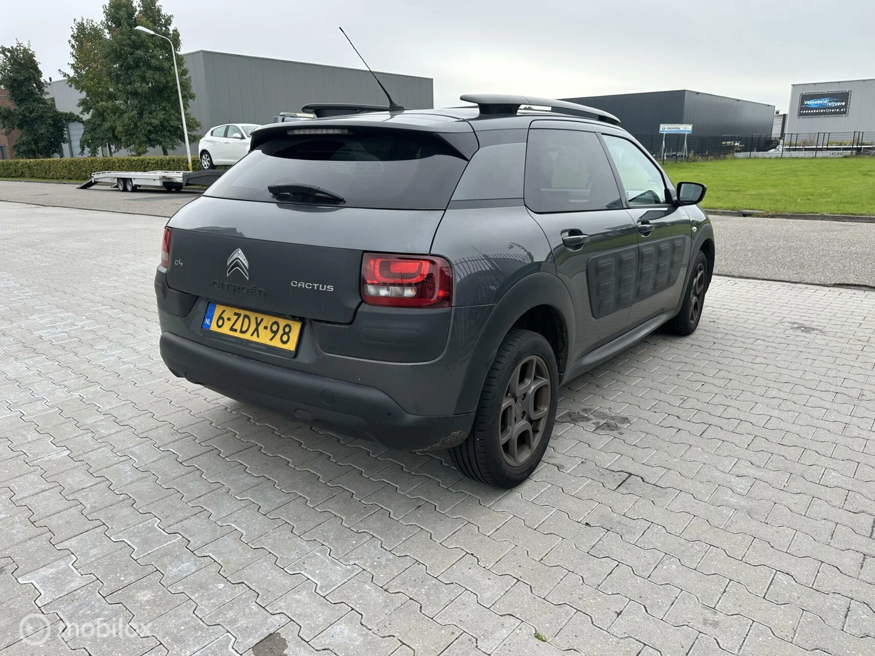 Hoofdafbeelding Citroën C4 Cactus