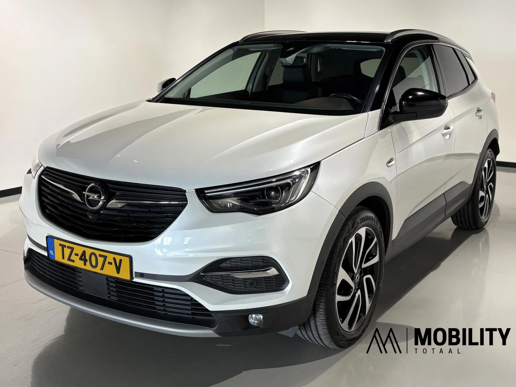 Hoofdafbeelding Opel Grandland X