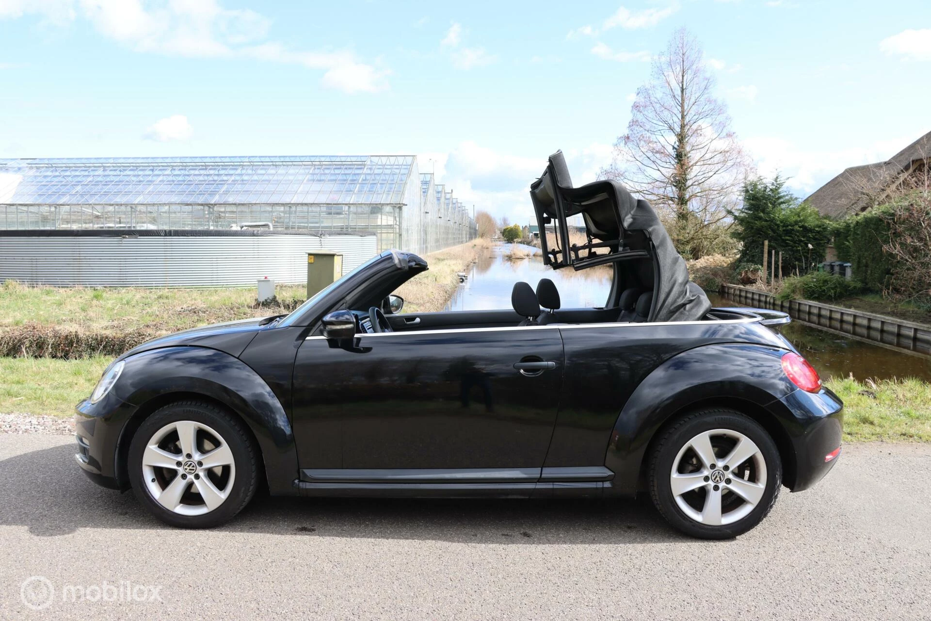 Hoofdafbeelding Volkswagen Beetle