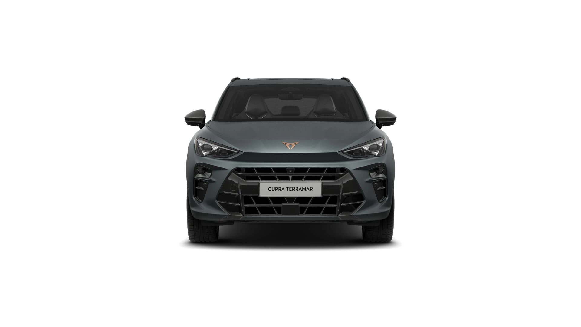 Hoofdafbeelding CUPRA Terramar