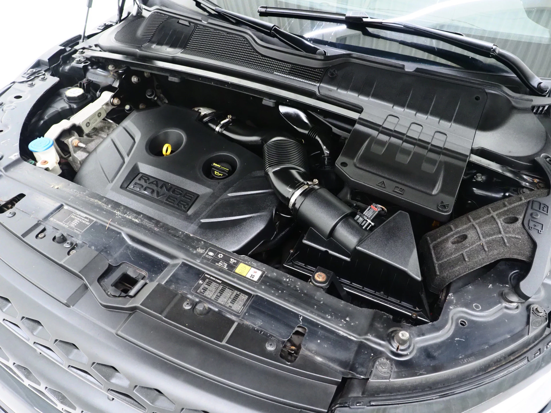 Hoofdafbeelding Land Rover Range Rover Evoque