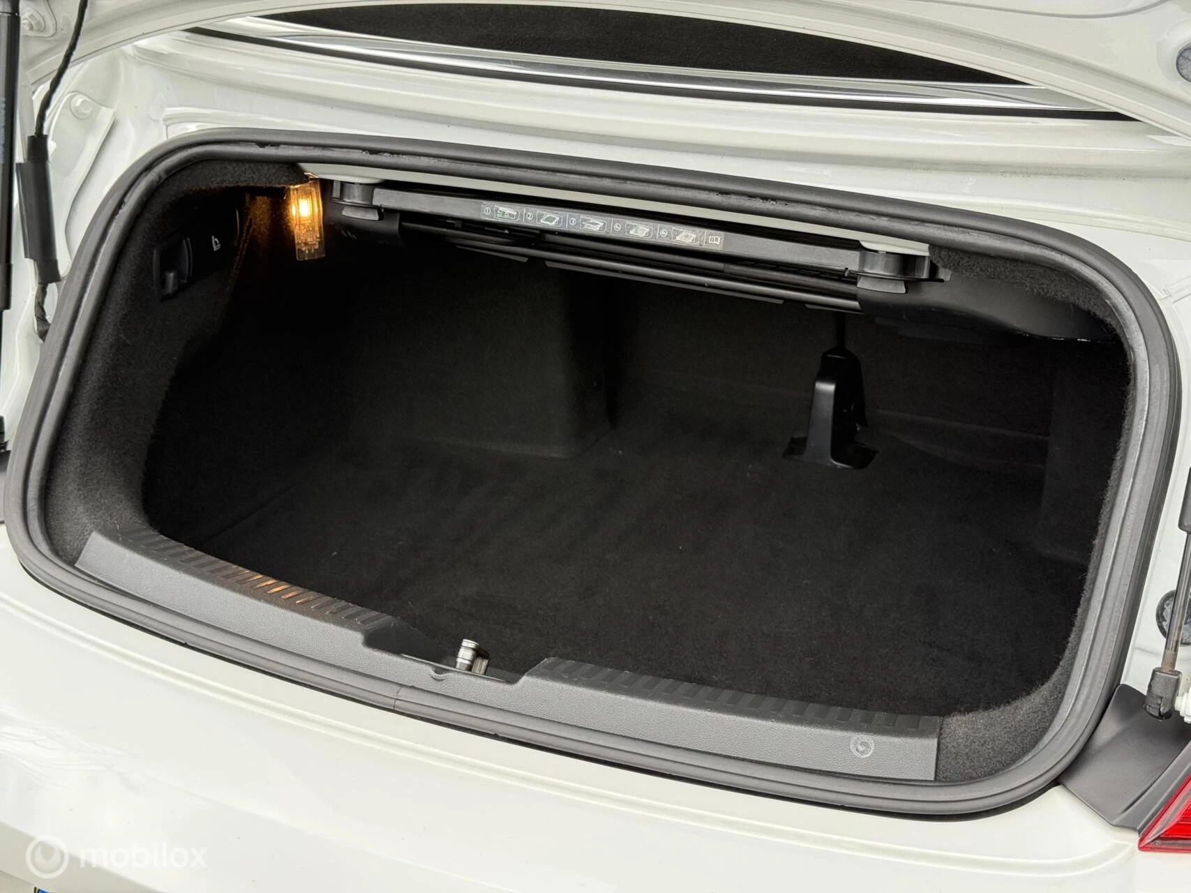 Hoofdafbeelding Volkswagen Beetle