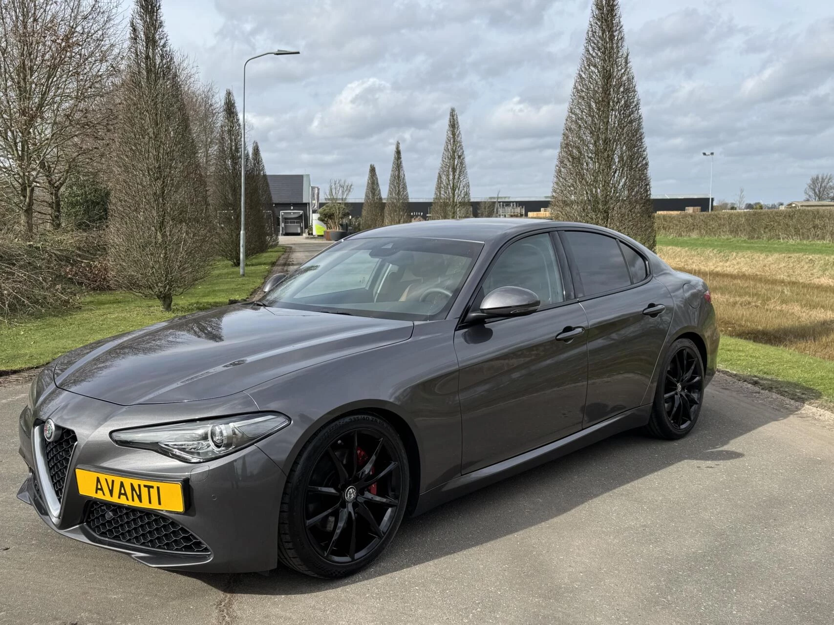 Hoofdafbeelding Alfa Romeo Giulia