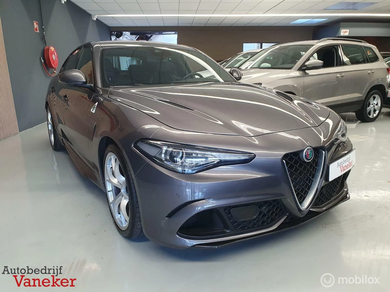 Hoofdafbeelding Alfa Romeo Giulia