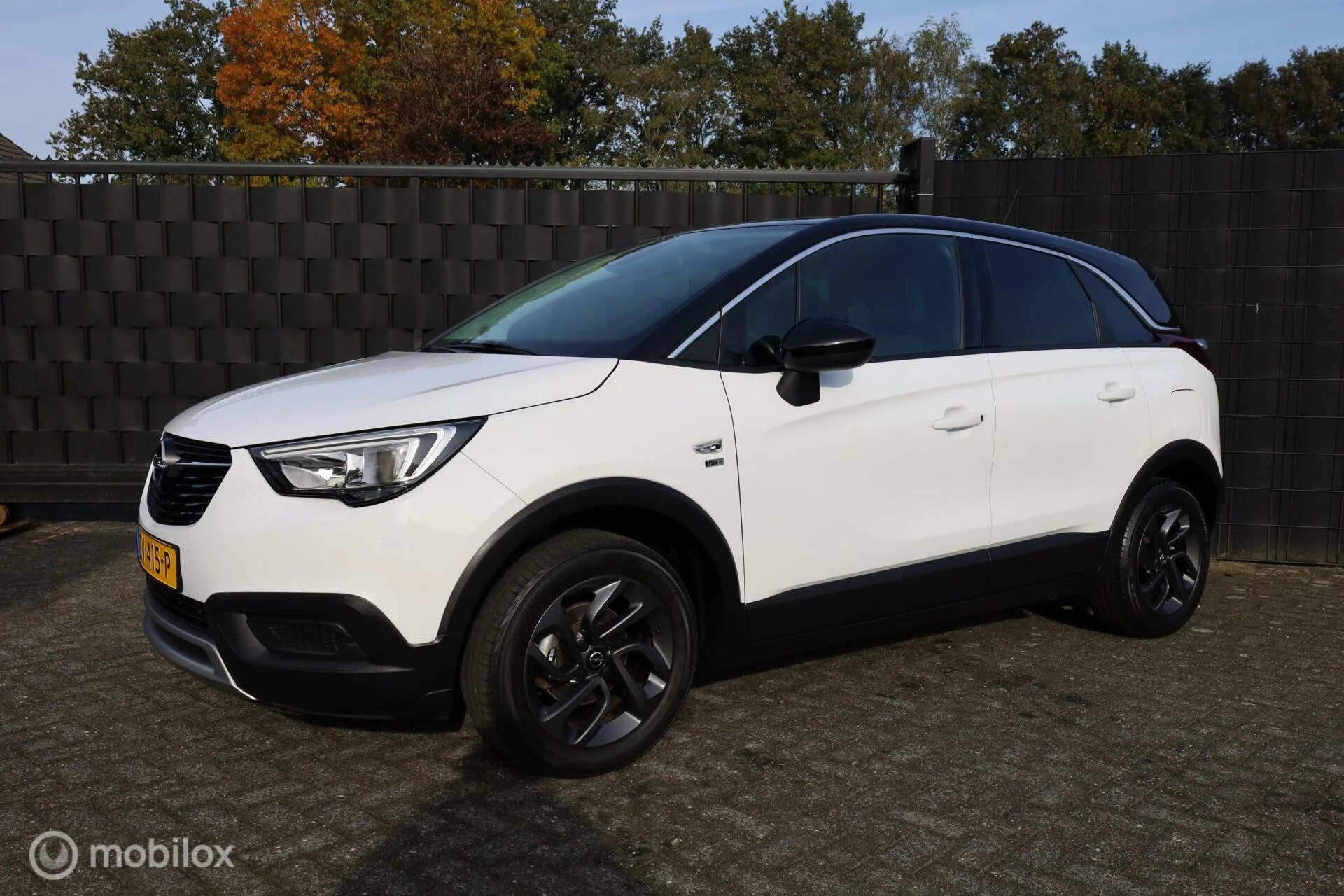 Hoofdafbeelding Opel Crossland X